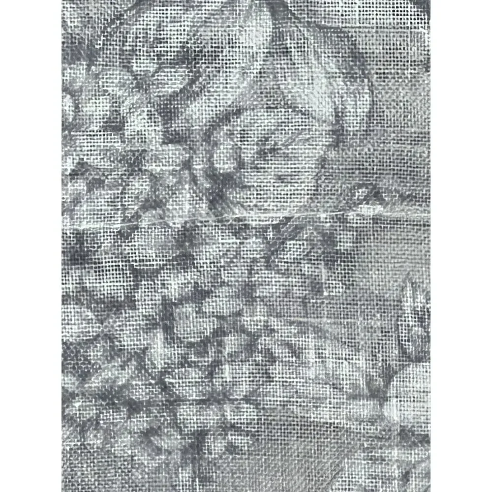 Laura Ashley Bridgette Floral Window Curtains Panels SHEER 38x84” Gray Grey (2)